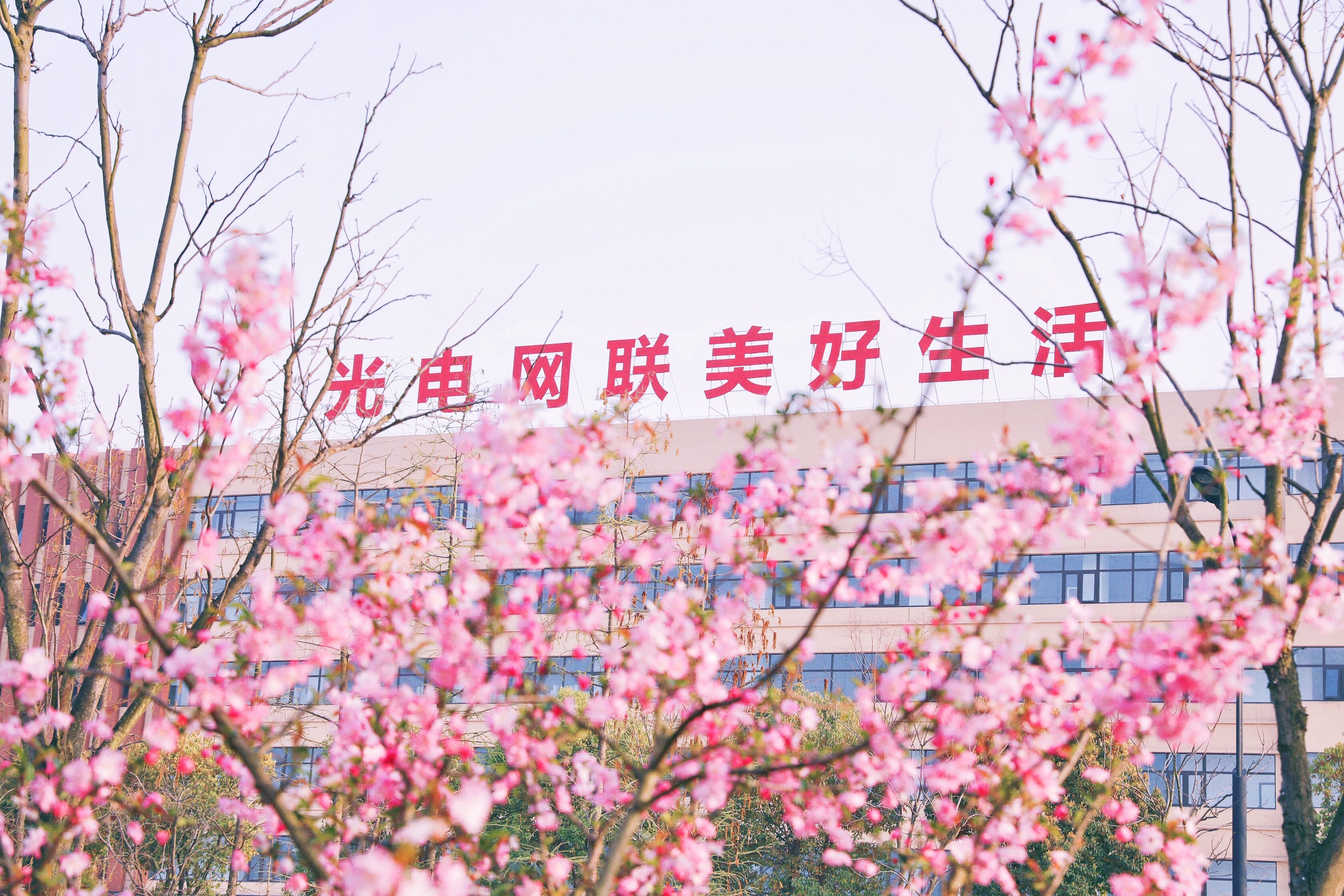 中国·Bb艾弗森(ballbet贝博)有限公司-官方网站